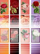 Image result for Free Printable Rose Stickers