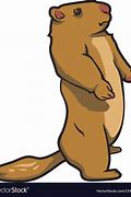 Image result for Prairie Dog PFP