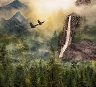 Image result for Forest River Waterfalls