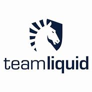 Image result for Liquid Gaming Logo