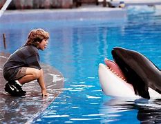 Image result for Free Willy Jumping