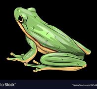 Image result for Rainbow Frog Drawing Art