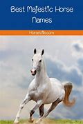 Image result for Majestic Horse Names