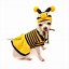 Image result for Funny Bee Costume