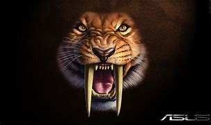 Image result for Sabertooth Tiger Prey