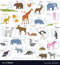 Image result for Animal Cartoon Poster