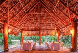 Image result for Quintana Roo Jungle