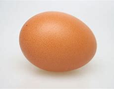 Image result for Egg in Japanese