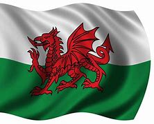 Image result for Welsh Hair