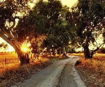 Image result for Peaceful Australian Scences