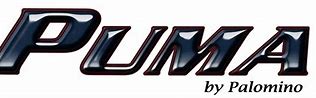 Image result for Puma Decal