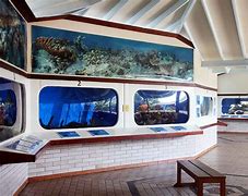 Image result for Curacao Aquarium