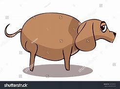 Image result for Sad Fat Dogh