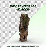 Image result for Log Covered in Moss