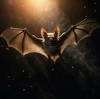 Image result for Bat High Resolution