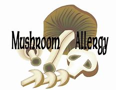 Image result for Mushroom Allergy