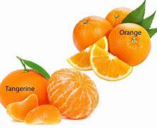 Image result for Orange Tangerine Hybrid