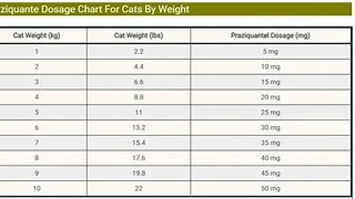 Image result for Praziquantel Dosing Chart for Cats