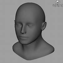 Image result for 3D Human Head Model