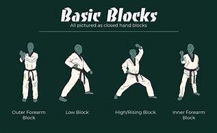 Image result for Taekwondo Basic Stances