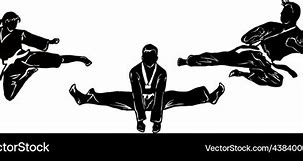 Image result for Taekwondo Silhouette