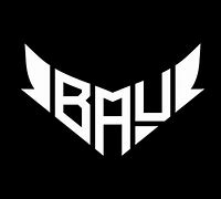 Image result for Bau Logo Copy/Paste