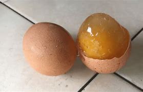 Image result for Egg Frozen Food