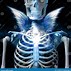 Image result for Angel Skeleton Found