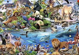 Image result for Every Kind of Animal