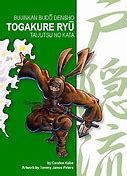 Image result for Togakure Ryu