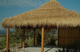 Image result for Thatch Roof Homes