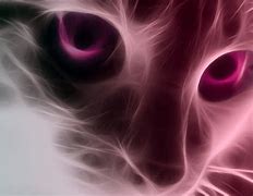 Image result for Cat with Pink Background