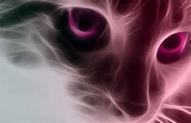 Image result for Smart Cat with Pink Background