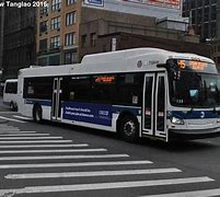 Image result for Brooklyn New York Bus