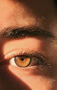 Image result for Dark Hazel Eyes