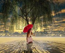 Image result for Raining Day Pictures