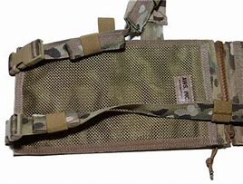 Image result for AWS M14 Chest Rig