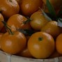 Image result for Hybrid Citrus with Red Stripes