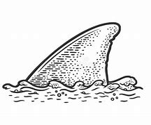 Image result for Shark Fin Drawing