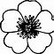 Image result for Tropical Flower Clip Art Black and White