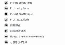 Image result for Prostatic Plexus