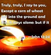 Image result for John 12 24 and Wheat