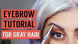 Image result for Grey Eyebrow Powder