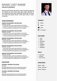 Image result for Work CV Template