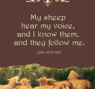 Image result for I Hear You Jesus I'm Coming Sheep