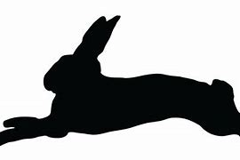 Image result for Free Resizable Clip Art Hare