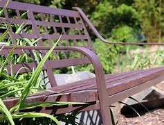 Image result for Bench Nature