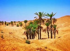 Image result for Desert in Tunisia