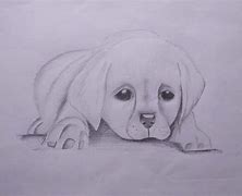 Image result for Realistic Dog Drawing Easy