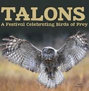 Image result for Birds of Prey Talons